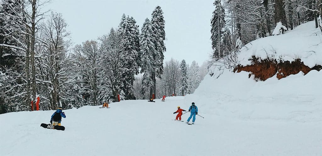 Webcams - Massif Central