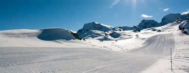 Vue sur les pistes