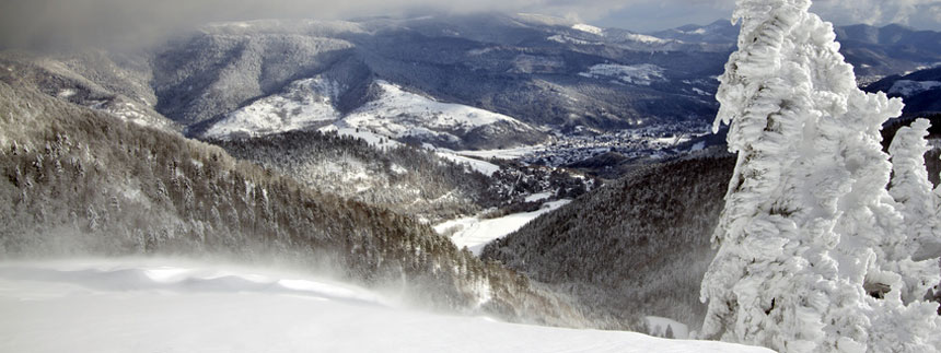 Vue sur les pistes